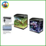 Classica Pandora G2 Tank