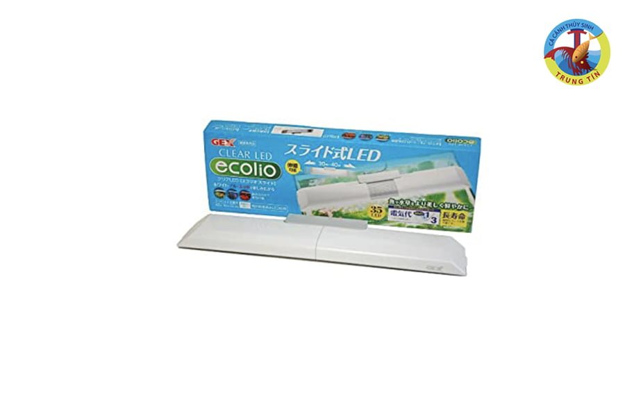 Gex Clear LED Ecolio Slice