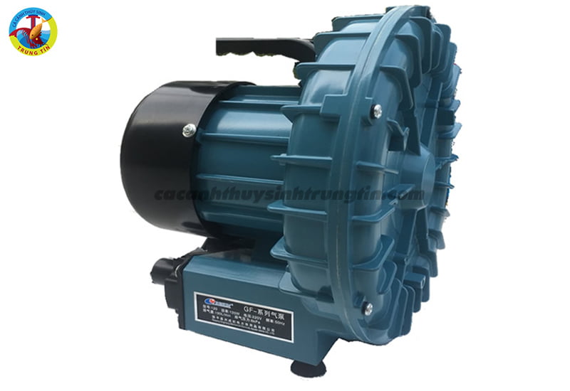 mc3a1y20se1bba7i20oxy20resun20gf-120