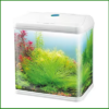 bể cá sobo 490f