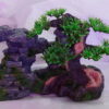 NÚI CÂY BONSAI