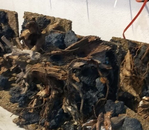 Layout vách 900k 45 x 45