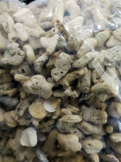 San hô 1kg