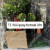 Núi quay Bonsai - Loại lớn - Cái