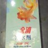 Jindi - Trong Nước Lớn