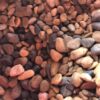 Sạn Biển 1kg - Bán lẻ