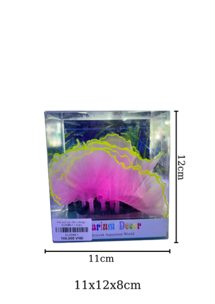 HẢI QUỲ LỤA VIỀN
