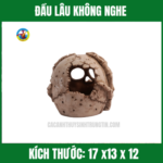 ĐẦU LÂU KHÔNG NGHE (2)