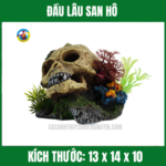 ĐẦU LÂU SAN HÔ