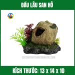ĐẦU LÂU SAN HÔ