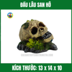 ĐẦU LÂU SAN HÔ