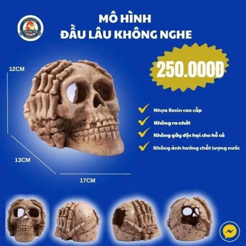 Đầu lâu không nghe - YX202 ( 17 x13 x 12 )