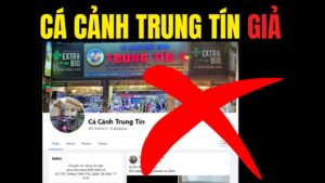 cá cảnh trung tín giả mạo