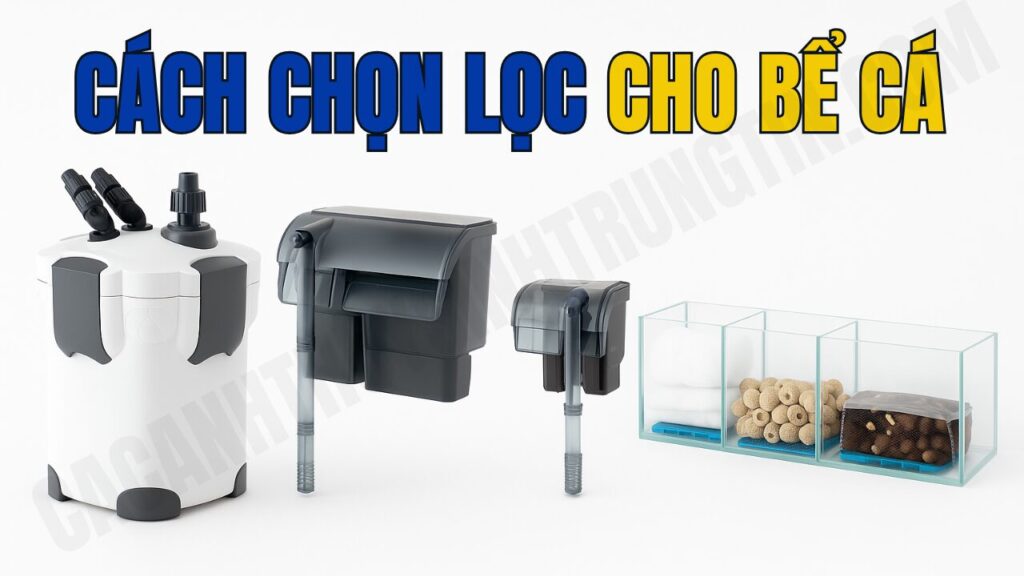 CÁCH CHỌN MÁY LỌC CHO BỂ CÁ (1)