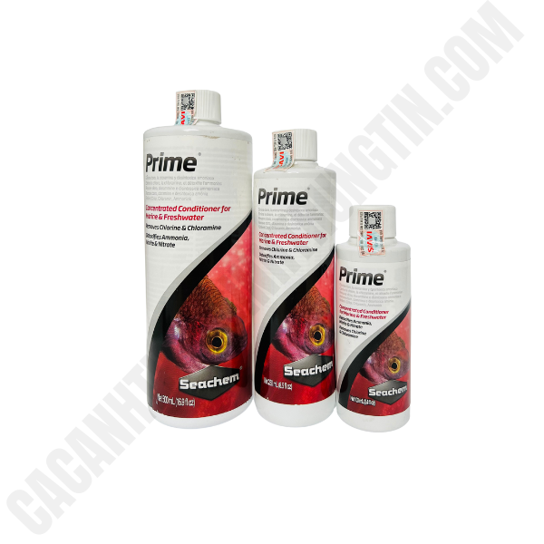 Khử Độc Nước