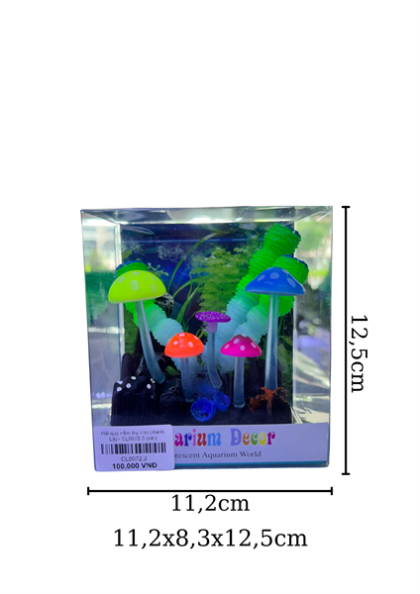 Hải quỳ nấm trụ tròn (Xanh Lá) - CL0072.3 - cái