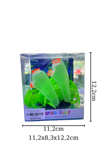 Hải quỳ lá hẹ (Xanh lá) - CL0170.4 - Cái