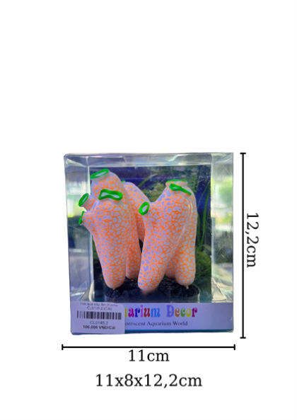 Hải quỳ nắp ấm (Cam)- CL0145.2 - Cái