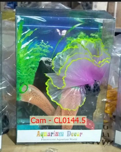 Hải quỳ lụa viền (Hồng) - Nắp ấm (Cam) - CL0144.5 - Cái