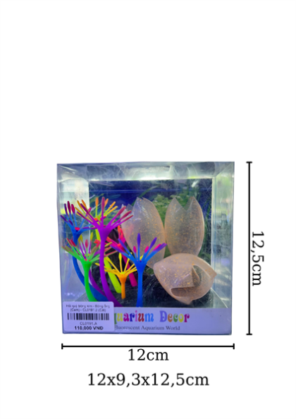 Hải quỳ bông kim - Bông ống (Cam) - CL0191.2 - Cái