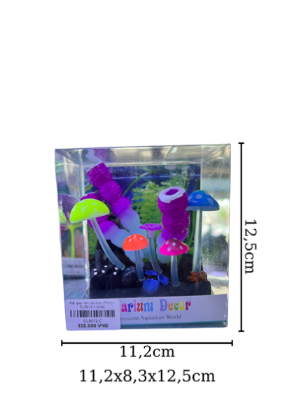 Hải quỳ nấm trụ tròn (Tím) - CL0072.4 - Cái