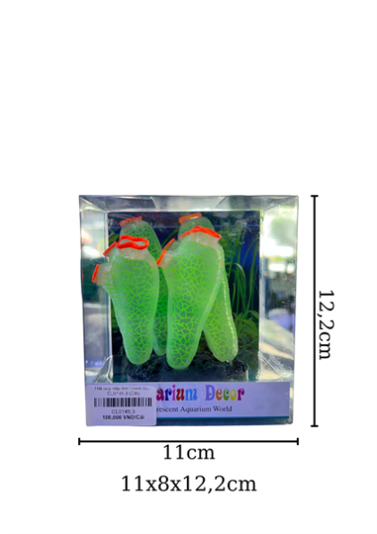 Hải quỳ nắp ấm (Xanh lá) - CL0145.3 - Cái