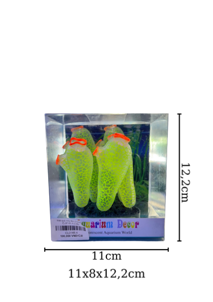 Hải quỳ nắp ấm (Vàng) - CL0145.4 - Cái