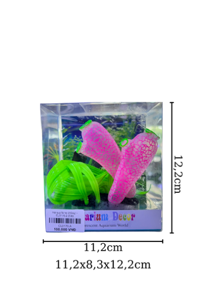Hải quỳ lá hẹ (Hồng) - CL0170.2 - Cái