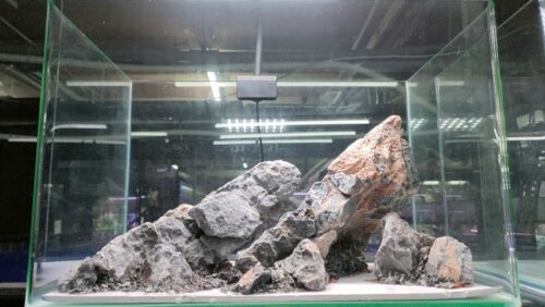 Setup layout 35x18x20, D10 - Đá kẹp kem - Cái