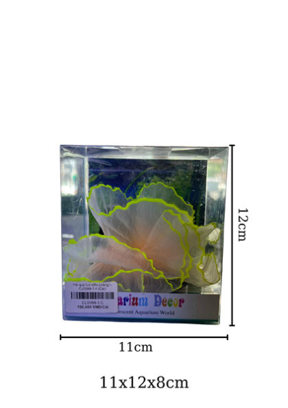 Hải quỳ lụa viền (Vàng) - CL0088-1.4 - Cái