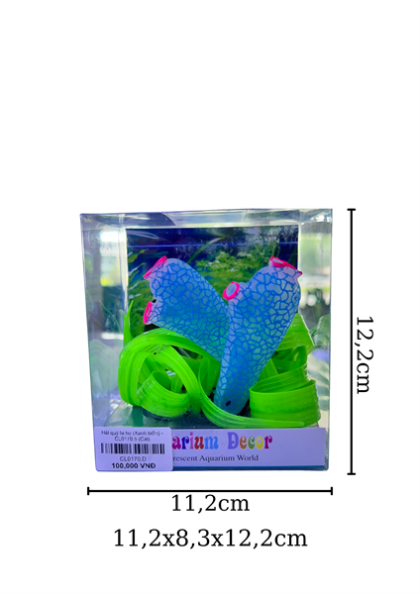 Hải quỳ lá hẹ (Xanh biển) - CL0170.5 - Cái