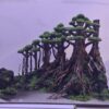 Bonsai rừng thông 40cm - cây