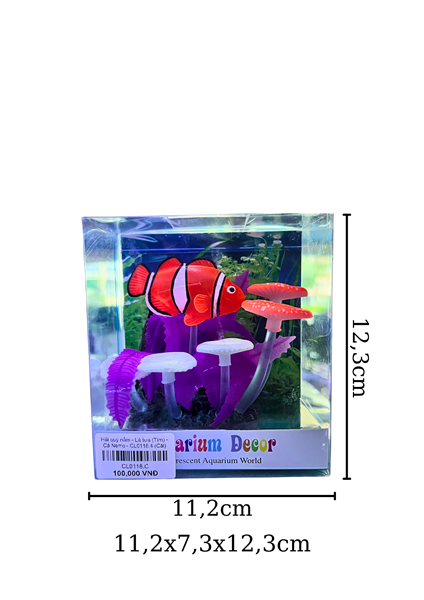 Hải quỳ nấm - Lá tưa (Tím) - Cá Nemo - CL0118.4 - Cái