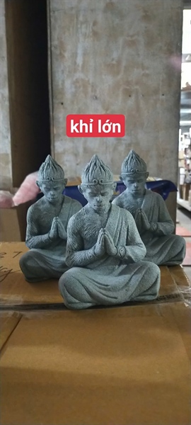 Khỉ đá lớn - Cái