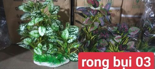 Rong nhựa bụi 03 - Cái