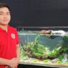 Hồ thủy sinh - Hải 00005 - Cái