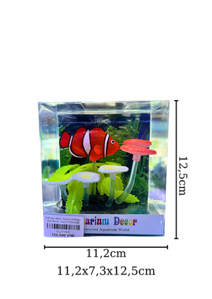 Hải quỳ nấm - Lá tưa (Vàng) - Cá Nemo - CL0118.6 - Cái