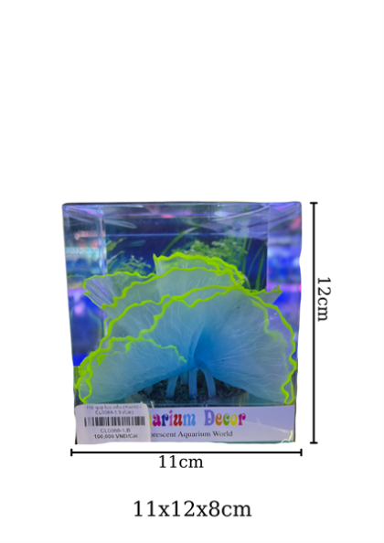 Hải quỳ lụa viền (Xanh) - CL0088-1.3 - Cái