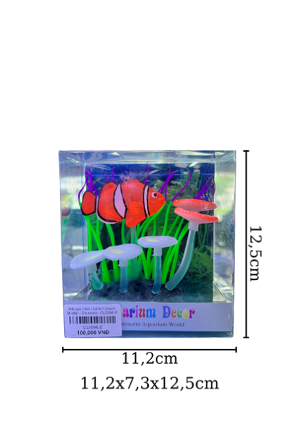Hải quỳ nấm - Lá kim (Xanh lá cây) - Cá nemo - CL0096.6 - Cái
