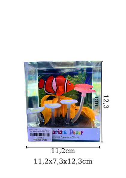 Hải quỳ nấm - Lá tưa (Cam) - Cá Nemo - CL0118.5 - Cái