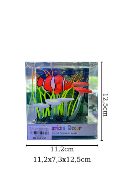 Hải quỳ nấm - Lá kim (Vàng) - Cá nemo - CL0096.4 - Cái