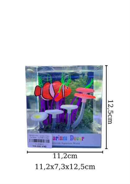 Hải quỳ nấm - Lá kim (Tím) - Cá nemo - CL0096.5 - Cái
