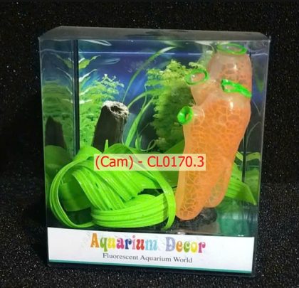 Hải quỳ lá hẹ (Cam) - CL0170.3 - Cái