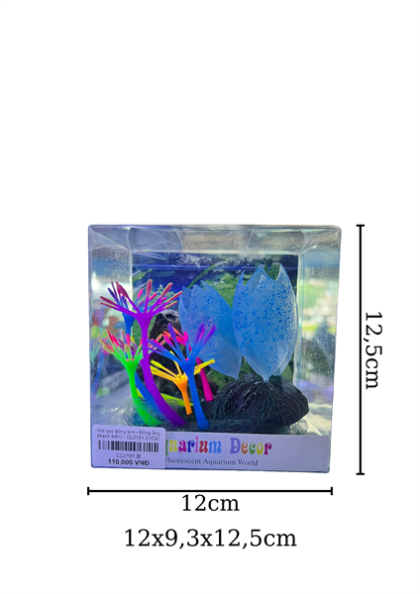 Hải quỳ bông kim - Bông ống (Xanh biển) - CL0191.3 - Cái