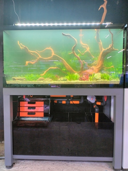 Hồ Công nghệ 2 tầng 1m2x50cm