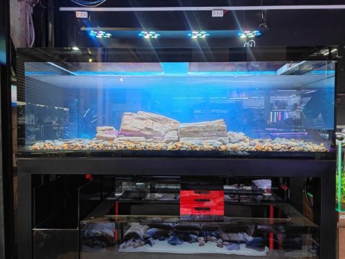 Hồ công nghệ 2 tầng 2mx70x70 (Trưng bày)