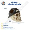 Đầu Lâu Dội Nón Lưỡi Trai Wp082 - 18X10X13.5
