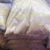 Sỏi bao vàng size S