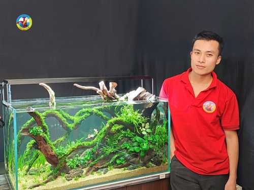 Hồ thủy sinh - Hưng 00006