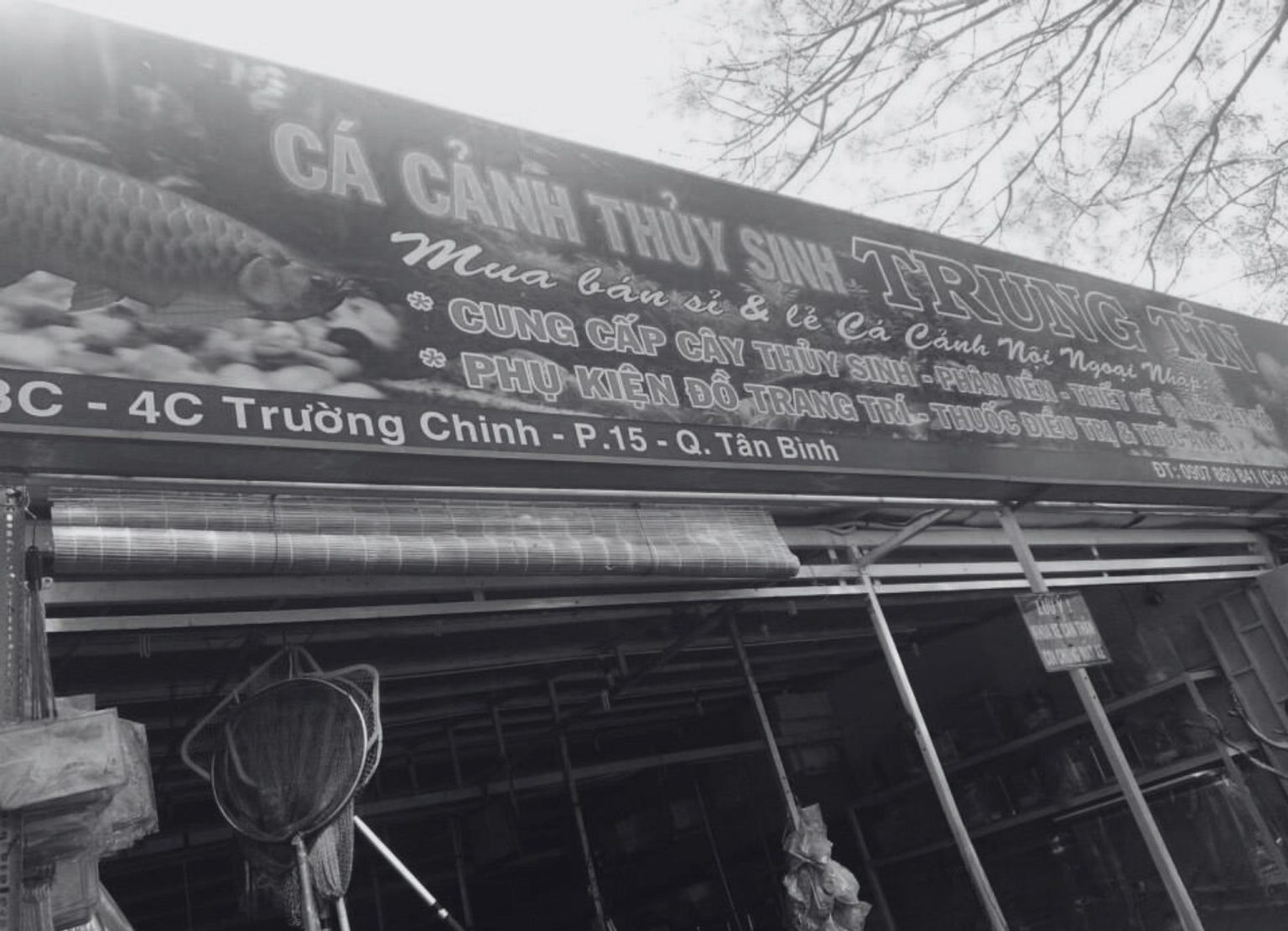 trung tín 2015